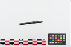 Foto von Bronzearmreif (NHMW-PRAE-024312)